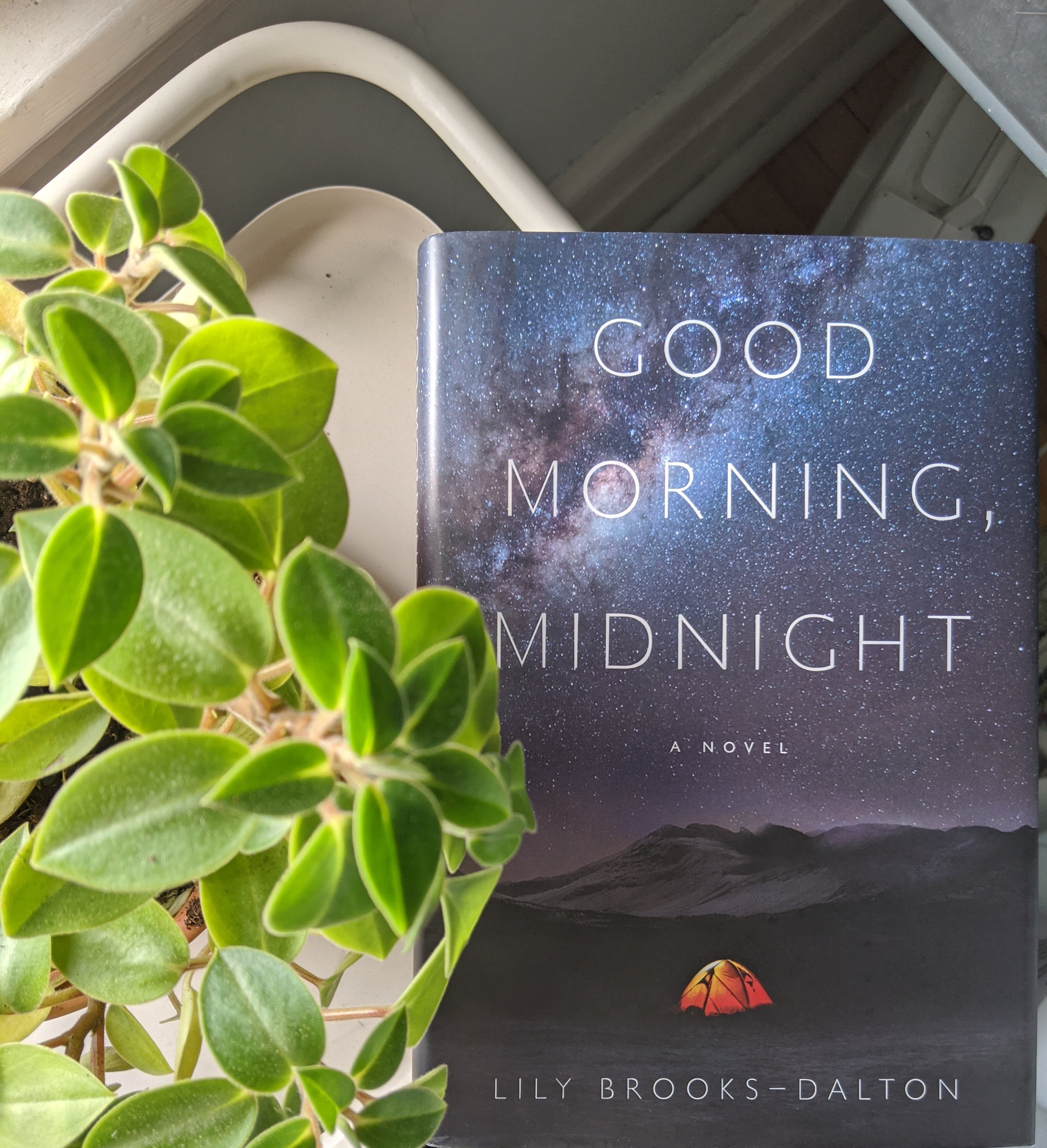 A picture of the book good morning midnight. The cover depicts a single orange tent in the middle of what looks to be an arctic tundra, with an incredible bright and star filled sky above them. In the background there are a few mountains. To the left of the book there is a plant.